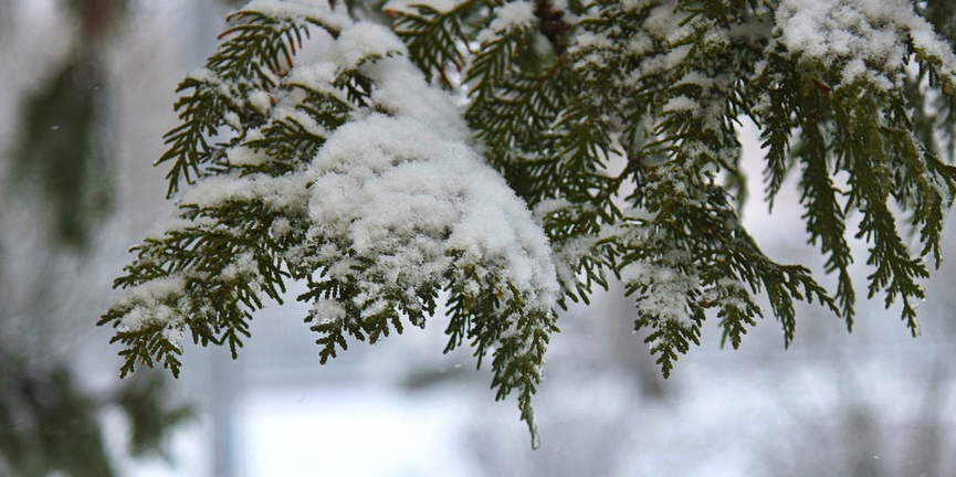 Сильный снег, порывистый ветер, перепад температуры &mdash; в Могилеве на 18 января снова объявлен оранжевый уровень опасности