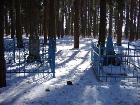 Рядомстоящие индивидуальные могилы (Печерский лесопарк)