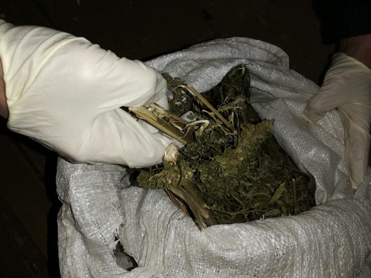 Более 880 грамм марихуаны изъяли могилевские таможенники с начала нынешнего года