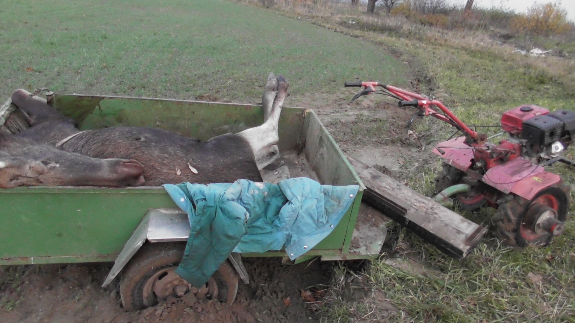 Охота пуще неволи: в Быховском районе задержали двух могилевчан-браконьеров