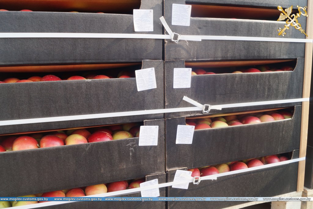 Могилёвские таможенники задержали 22 тонны нелегальных яблок