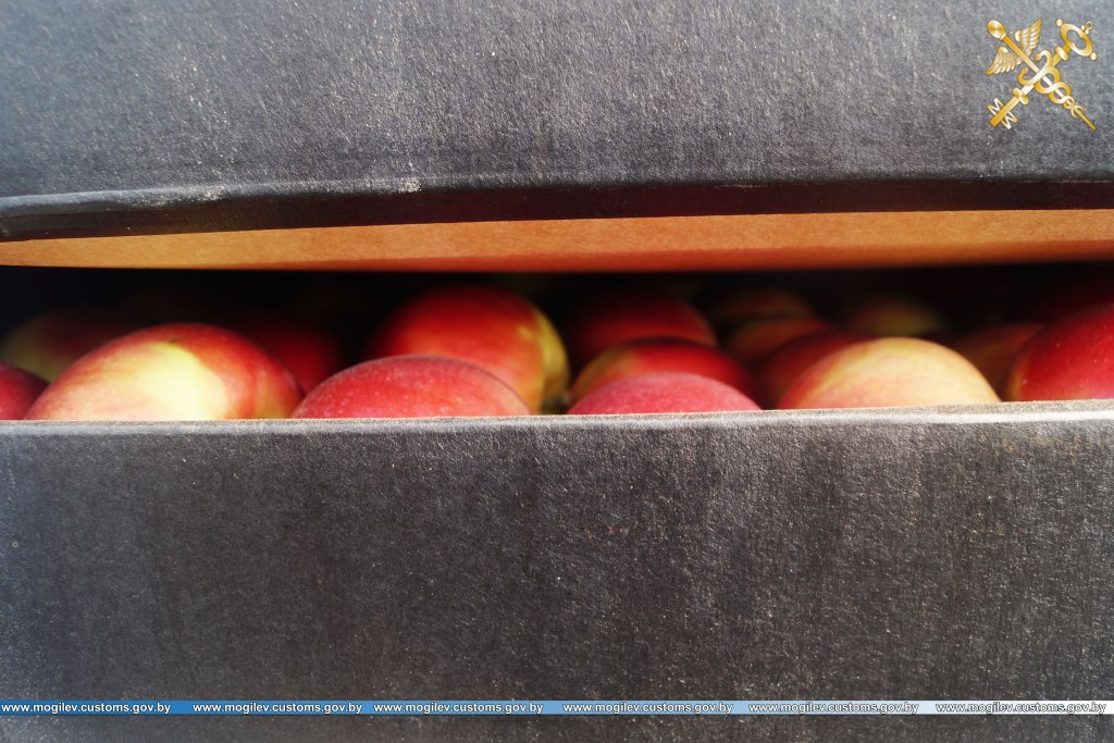 Могилёвские таможенники задержали 22 тонны нелегальных яблок