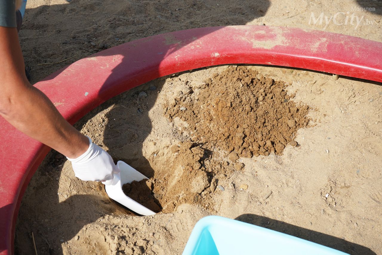 «Чтобы малыши были здоровы»: кто и как проверяет качество песка в детских песочницах в Могилеве