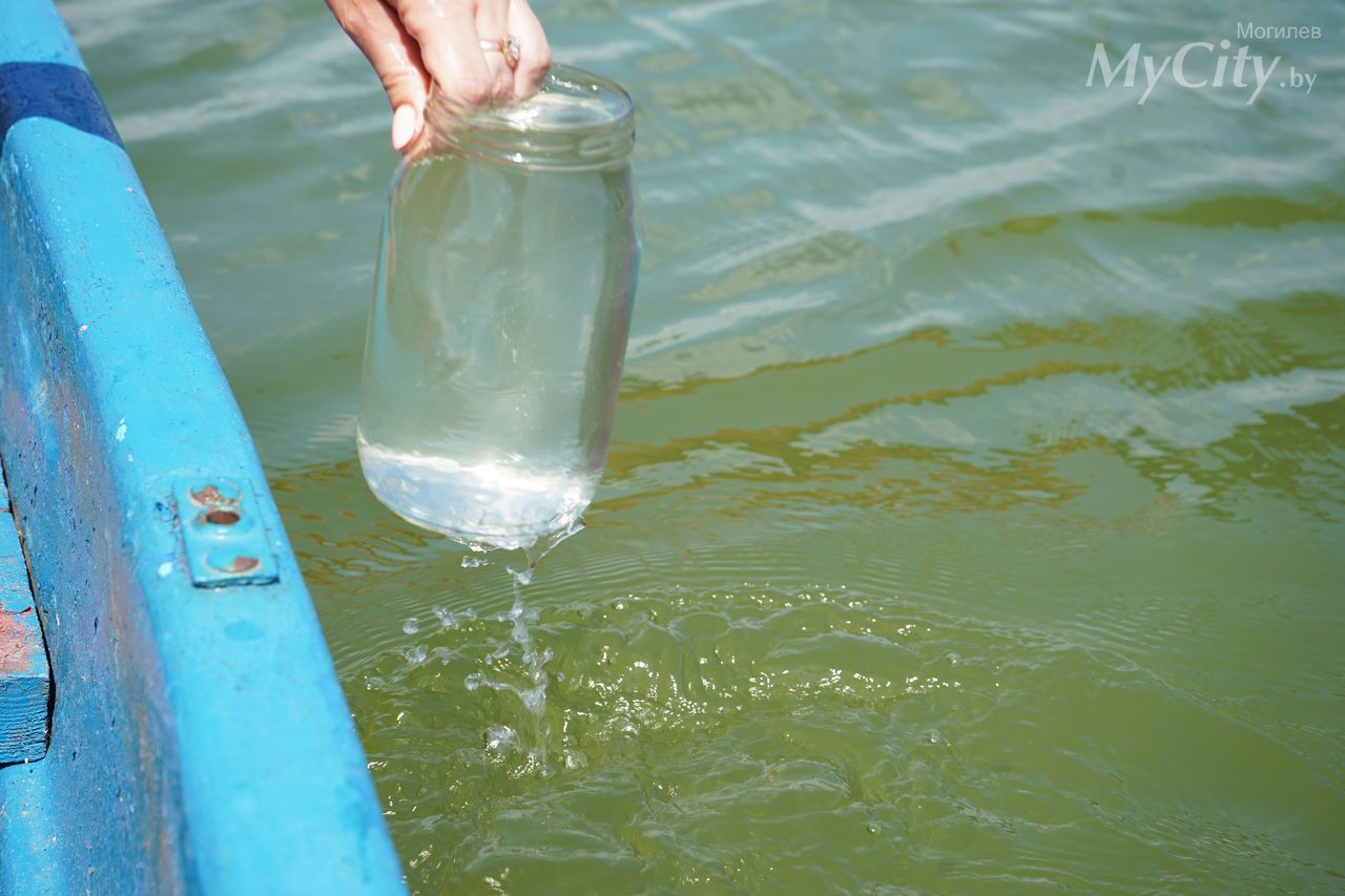 «Купание запрещено»: Как проверяют качество воды в могилевских водоемах
