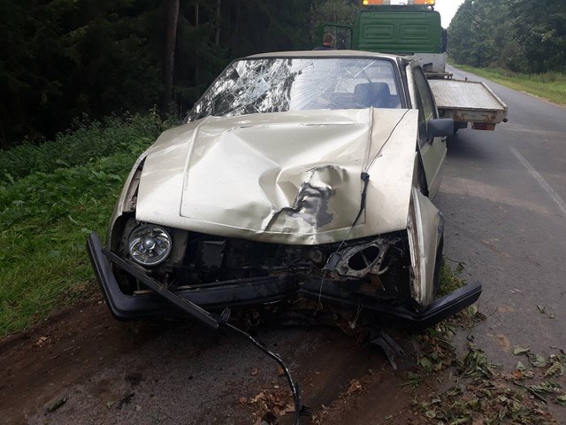 Автомобиль могилевчанина врезался в дерево: пострадали водитель и пассажир  