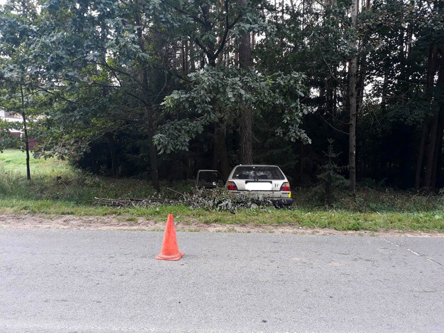 Автомобиль могилевчанина врезался в дерево: пострадали водитель и пассажир  
