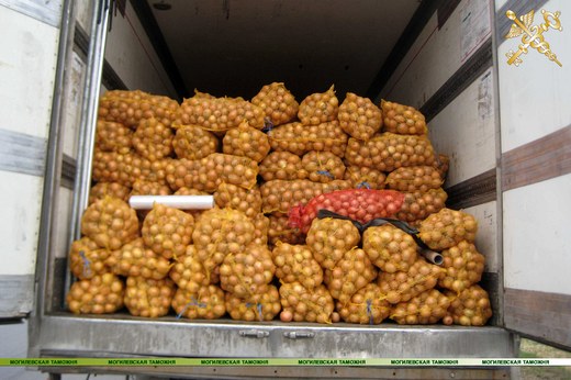 Почти 100 тонн яблок и лука незаконно перевозили на территории Могилёвской области 