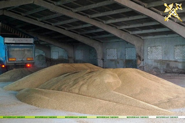 Могилёвские таможенники изъяли 50 тонн ячменя и свыше 25 тонн кукурузы 