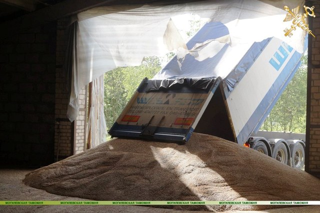 Могилёвские таможенники изъяли 50 тонн ячменя и свыше 25 тонн кукурузы 