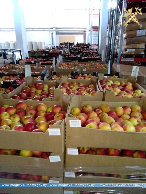 Незаконную перевозку более 40 тонн яблок пресекли могилёвские таможенники