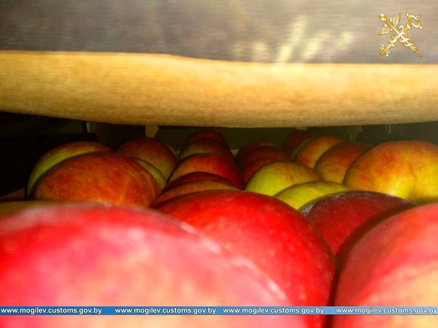 Незаконную перевозку более 40 тонн яблок пресекли могилёвские таможенники