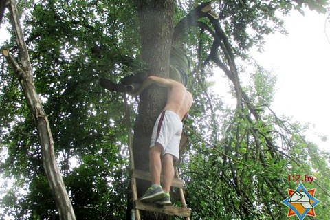  Могилевчанин не сумел спуститься с дерева без помощи спасателей