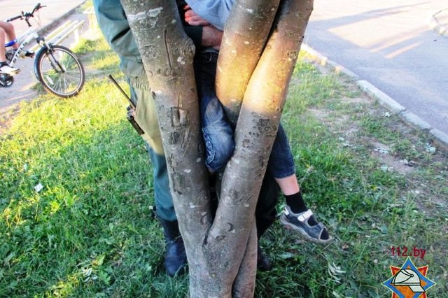 Ребёнок застрял между деревьями в Могилёве