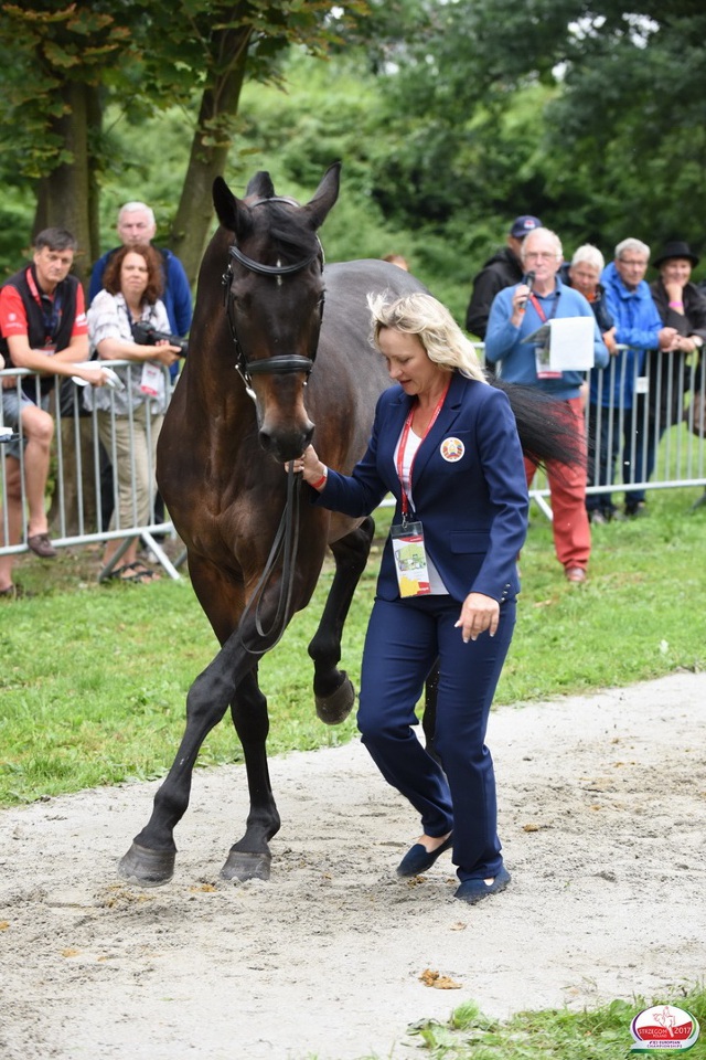  Успешное выступление Елены Телепушкиной и Пассата на чемпионате Европы по конному троеборью  