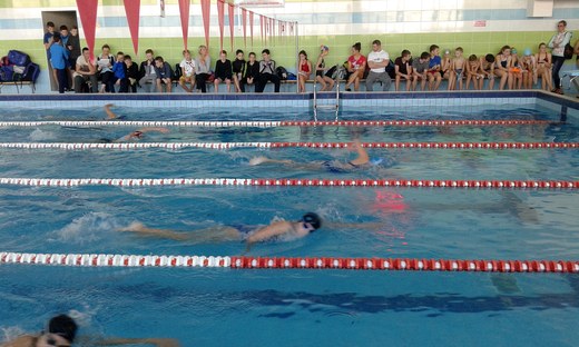 Могилёвские пловцы поднялись на пьедестал областных соревнований