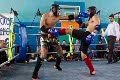 Более 100 бойцов соберет в Могилёве турнир по таиландскому боксу «Кубок золотого льва» 