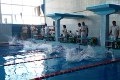 Плавание и триатлон – могилёвские спортсмены «разжились» медалями 