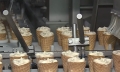 Новую производственную линию запустили на Могилёвской фабрике мороженого