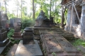 На одном из кладбищ Могилёва установили фотоловушки