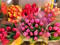 Широкий ассортимент цветочной продукции предложат горожанам и гостям Могилёва к Международному женскому дню