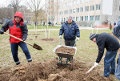Порядка 50 тыс. человек будут трудиться 4 апреля в Могилёве на областном субботнике 