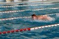 Могилёвские школьники стали лучшими пловцами среди сверстников со всей области