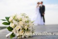 Свадебный ажиотаж пережил Могилёв в 2013 году