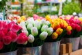 К 8 марта актуально: кто, где и как сможет продавать цветы в Могилёве