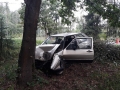 Автомобиль могилевчанина врезался в дерево: пострадали водитель и пассажир 