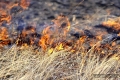 В Могилеве горела сухая трава