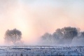 Мороз и туман – синоптики составили прогноз на выходные дни в Могилёве