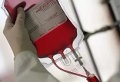 В Могилёве донор приносила на станцию переливания крови липовые справки