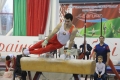 Дуэт могилевчан завоевал одну золотую и четыре бронзовых медали на Открытом кубке Беларуси по спортивной гимнастике