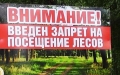 В Могилёве установили запрет на посещение лесов