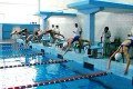 «Весёлый дельфин»: юные пловцы из Могилёва победили в областном первенстве