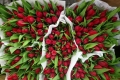 Продавать цветы к 8 Марта могилевчане могут по заявительному принципу