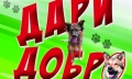 Самые лучшие собаки на свете и демонстрация техники МЧС. В Могилёве пройдёт большая акция в помощь бездомным животным
