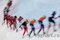 Конькобежцы рвутся к вершинам: соревнования в Инсбруке и Могилёве выявили лучших