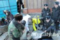 Характер и тело крещенскими ныряниями закалили будущие милиционеры в Могилёве