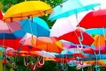 По центру Могилёва 1 июня пройдётся Парад зонтов