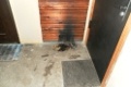 Неизвестные подожгли коврик под входной дверью квартиры по улице Лазаренко