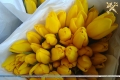 Груз без документов: могилёвские таможенники задержали крупную партию свежих цветов