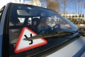 На дорогах Могилёва и области стало больше водителей-бесправников