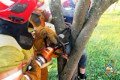 Ребёнок застрял между деревьями в Могилёве