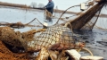До шести лет лишения свободы грозит могилевчанину-браконьеру за незаконную добычу рыбы