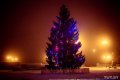 Новогодняя ёлка на площади Славы в Могилёве «вырастет» на 5 метров