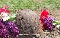 Останки погибшего в 1943 году красноармейца перезахоронят в Могилёве 