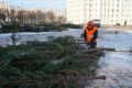 4 главных ёлки Могилёва смонтируют к 10 декабря