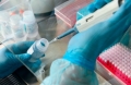 В Могилевской области зарегистрировано 16 подтвержденных случаев коронавирусной инфекции