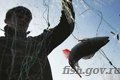 Один достал нож, второй оказал сопротивление – браконьеры из Могилёва ответят за нарушения по закону